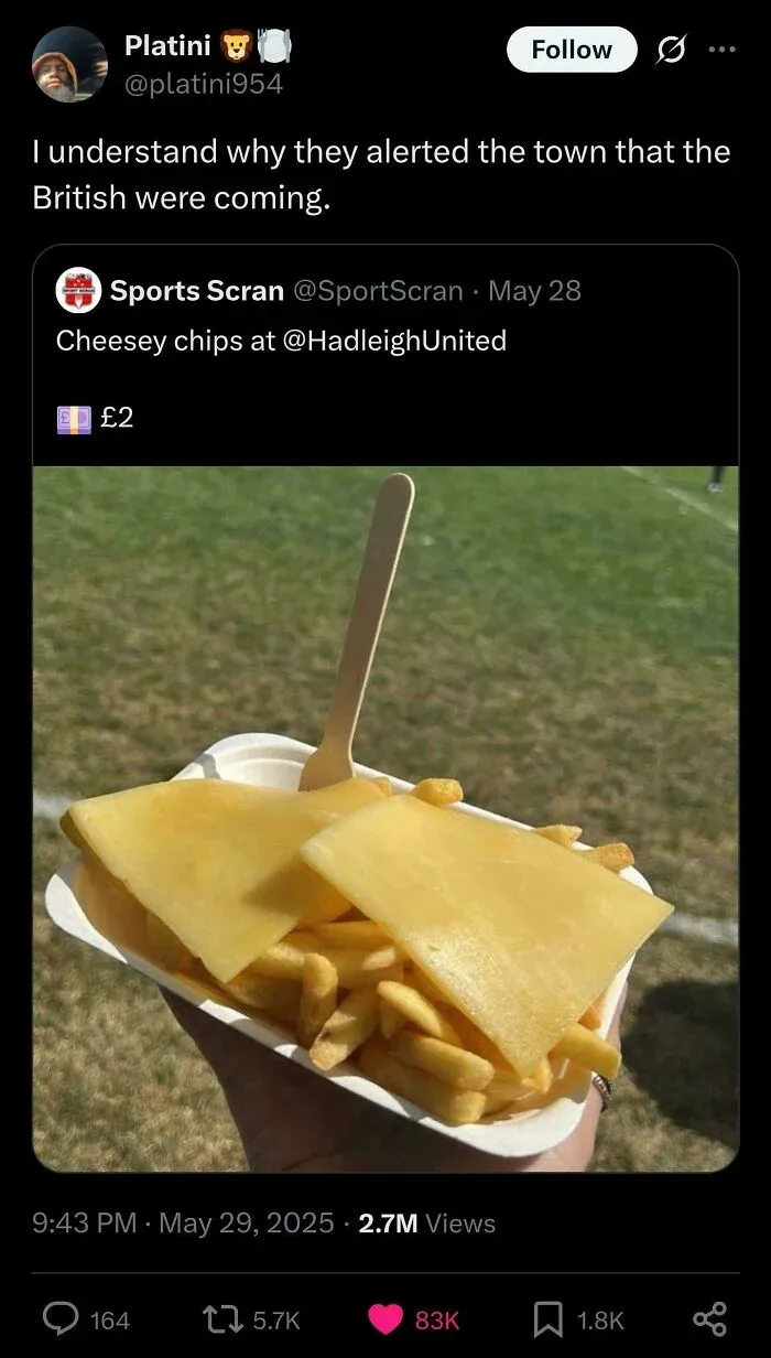 Cheesy chips with slices of yellow cheese over fries at a sports event