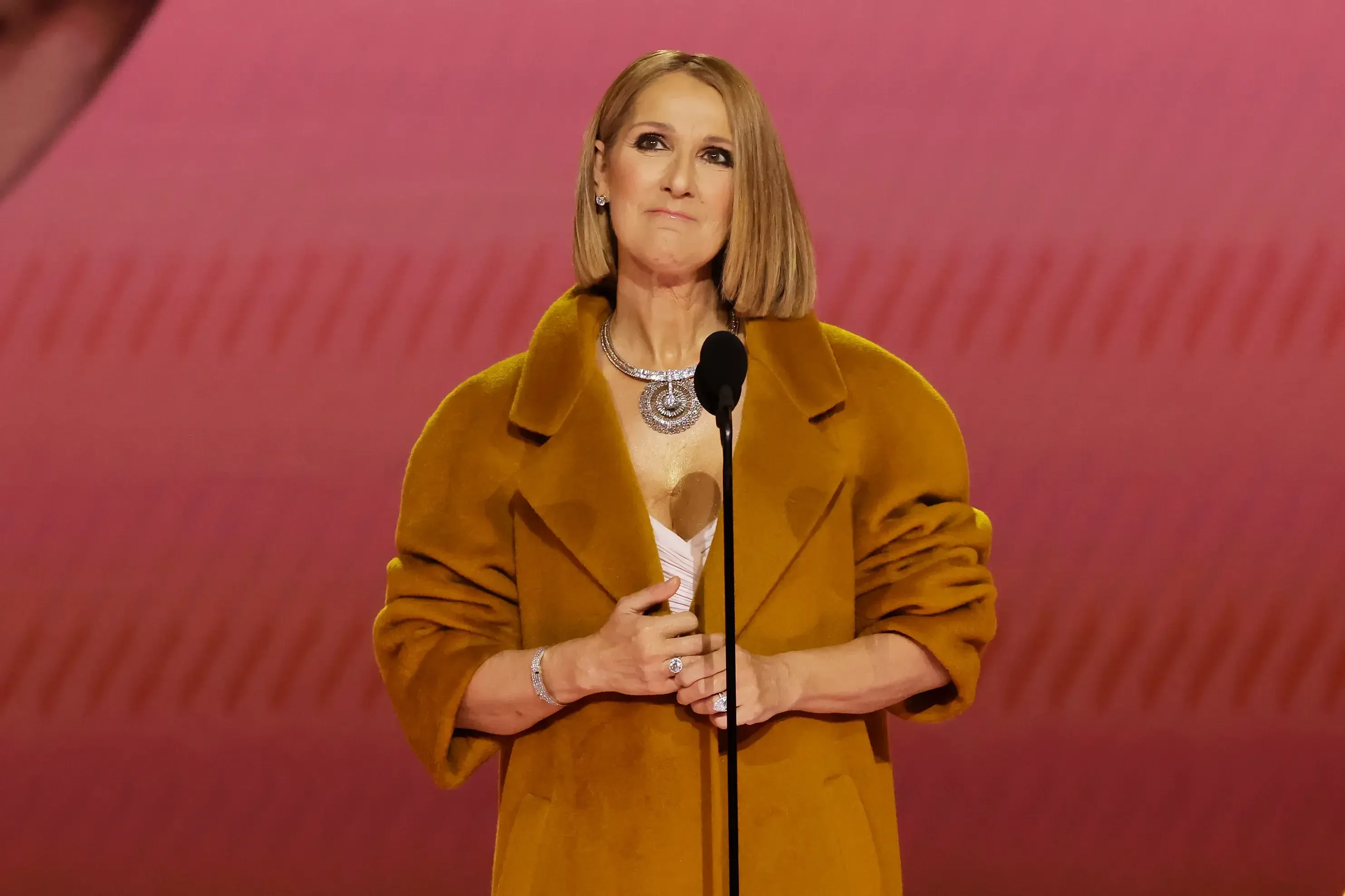 Céline Dion publicly disclosed her stiff-person syndrome diagnosis in 2022.