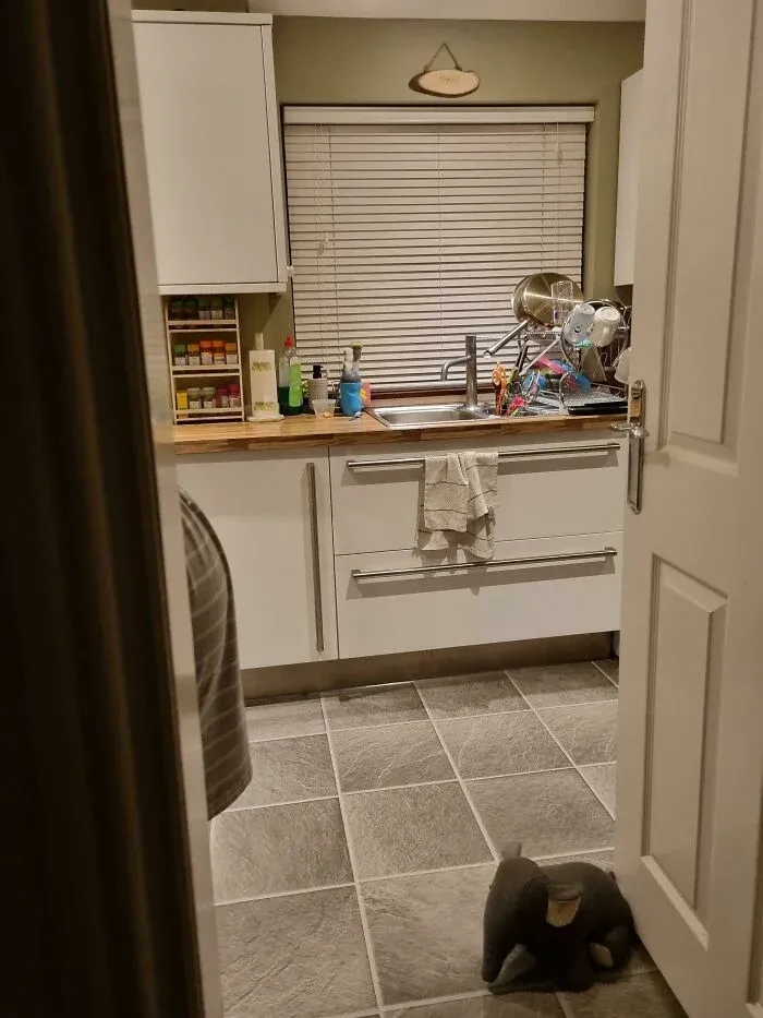 Elephant-shaped object blending into tiled kitchen floor details