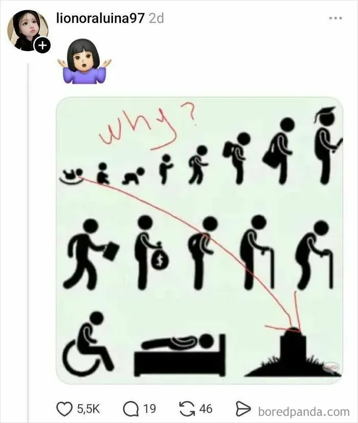Life stages illustration humorously questioning evolutionary purpose